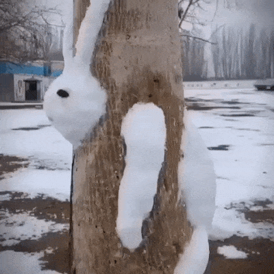neige le lapin coincé dans l'arbre.gif, janv. 2021