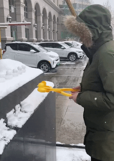 neige_ma_recette_de_canards_glaces.gif