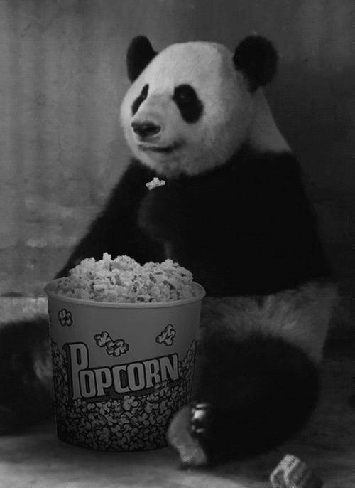 panda  pop-corn vive le cinéma.gif, déc. 2020
