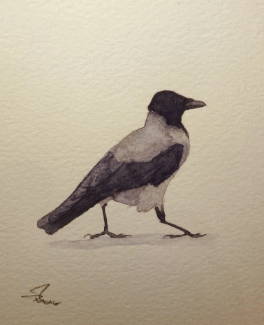 petterbrorson le retour.gif, mar. 2020