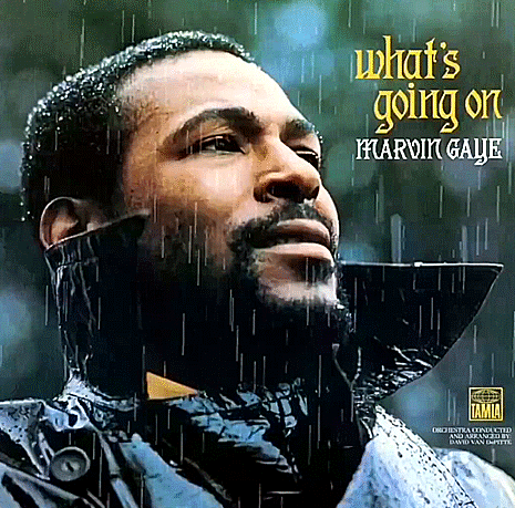 pluie un temps à écouter Marvin Gaye.gif, fév. 2020