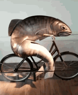 poisson à vélo.gif, avr. 2021