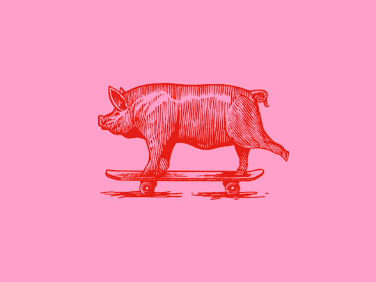 skater comme un porc balance ton sporc faites du sporc