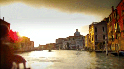 visite express Venise c'est fait.gif, août 2020