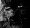 Beauty and the Beast La belle et la bête (1946) dir. Jean Cocteau le visage du monstre