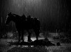 My Darling Clementine (1946) dir. John Ford cheval sous la pluie dans la nuit une nuit j'ai perdu mon cavalier