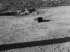 Simon of the Desert Simón del desierto 1965 Dir. Luis Buñuel l'avancée du cercueil que la mort vienne