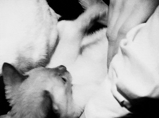 A Girl’s Own Story (1984) dir. Jane Campion chat j'ai l'honneur de te demander ta main