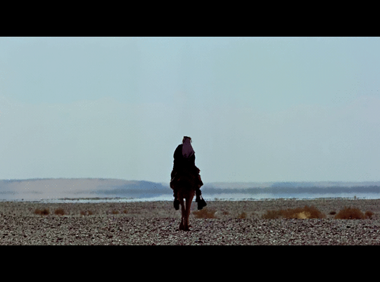 Lawrence of Arabia i'm a poor lonesome Laurence d'Arabie cheval dromadaire