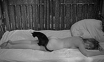 Ljubavni slucaj ili tragedija sluzbenice P.T.T. (1967) Dusan Makavejev la chatte sur un corps brûlant