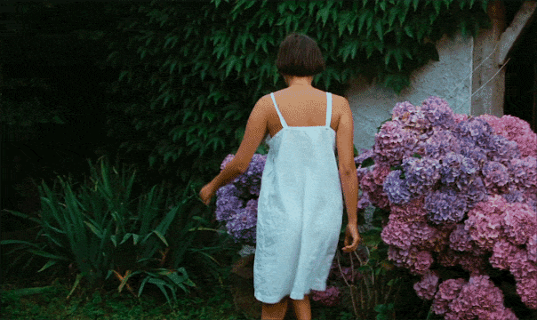 Pauline at the Beach Pauline à la plage (1983) Dir. Éric Rohmer fleurs la maltraitance des hortensias