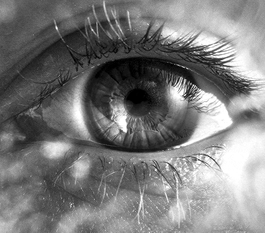 The Girl with the Needle 2024 Pigen med nålen dir. Magnus von Horn la scène dans l'oeil