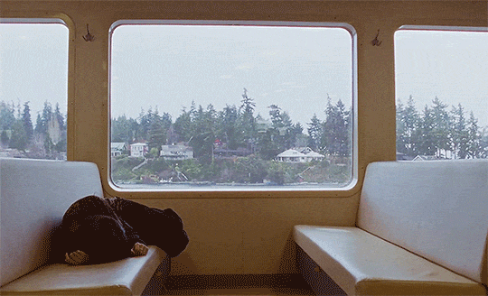 Women in Film Challenge 2026 [44-52 Lake Forest Park, dir. Kersti Jan Werdal (USA, 2021) le rythme hypnotique du train