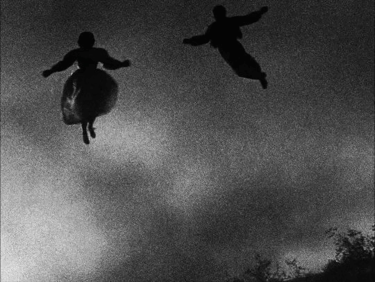 les danseurs dans le ciel oiseau nous ne touchions plus terre