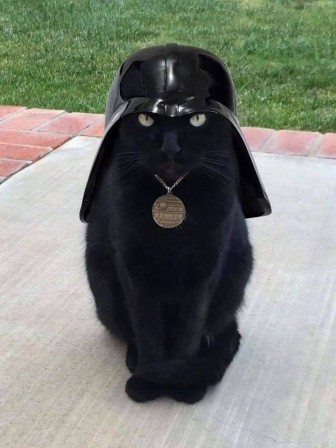 Antoine Langlais chat dark vador je suis ton chat.jpg