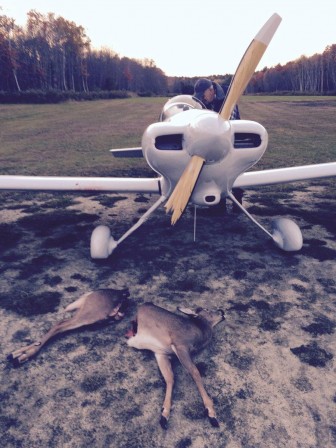 Bambi_prend_l_avion.jpg