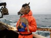 Coney_Arnold_marin_cheval_chat_2014.jpg