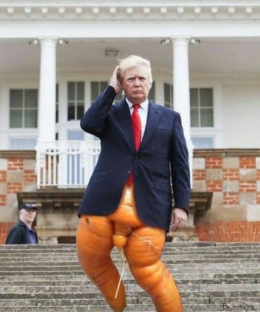 Donald Trump est une carotte.jpg