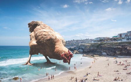 Gabriel Cagnin Polignano a Mare Pouilles poule les vacances sont finies.jpg, août 2019