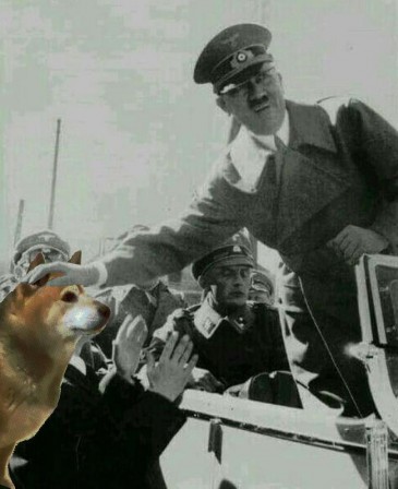 Hitler aimait beaucoup les chiens.jpeg