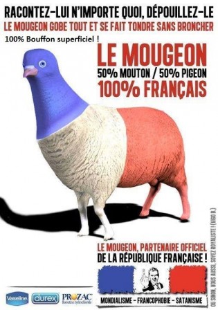 Laurent_Longeron_mouton_pigeon_france.jpg