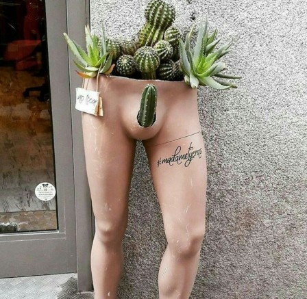 Le monde entier est un cactus Dans mon lit j'ai mis des cactus Dans mon slip j'ai mis des cactus.jpg