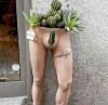 Le monde entier est un cactus Dans mon lit j'ai mis des cactus Dans mon slip j'ai mis des cactus.jpg