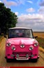 Mark_Rain__Poutine_Trabant_rose_couverture_bonjour.jpg