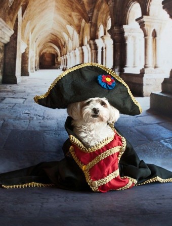 Napoleon chien.jpg