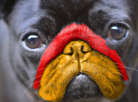 Pe_Ju_chien_peinture.jpg