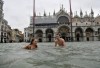 Romeo_Vernazza_bain_ville_inondation.jpg