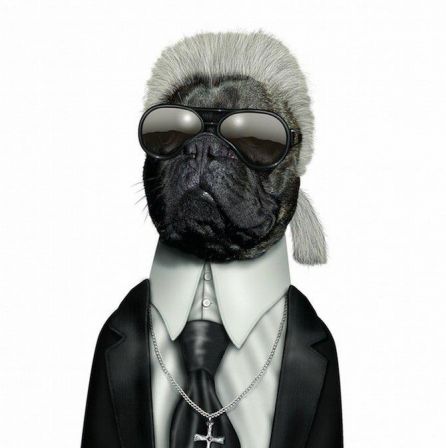 Takkoda_chien_lagerfeld.jpg