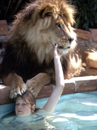 Tippi_Hedren_piscine_jeu.jpg