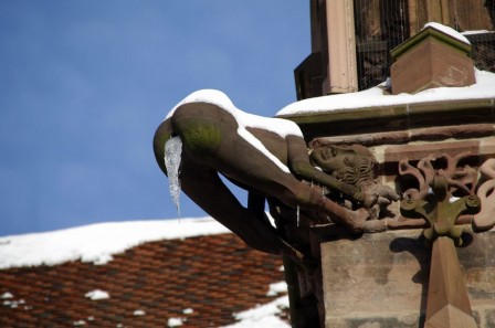 Wasserspeier am Freiburger Münster gargouille hiver.jpg