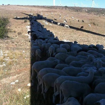 à l'ombre des éoliennes soleil.png