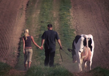 agriculture l'amour est dans le pré.jpg, nov. 2019