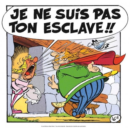 asterix_femme_esclave.jpg