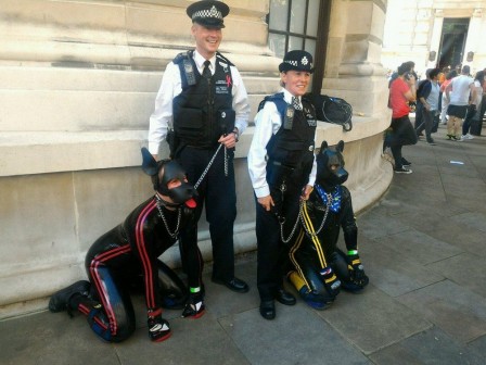 avant j'étais chien policier.jpg