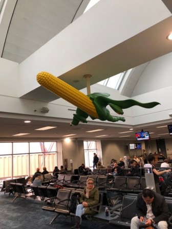 avion pan-american maïs OGM Monsanto airlines.jpg