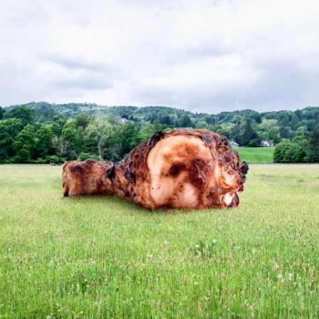 barbecue_poulet_campagne.jpg