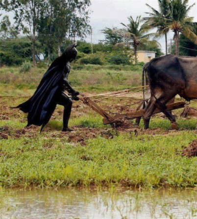 batman_agriculture.jpg