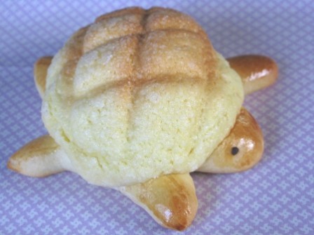bebe_tortue_cuit.jpg