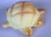 bebe_tortue_cuit.jpg