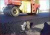 bitume in the road again.png