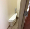 bricolage demi toilettes.png