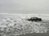 c'est pas l'homme qui prend la mercedes.jpg