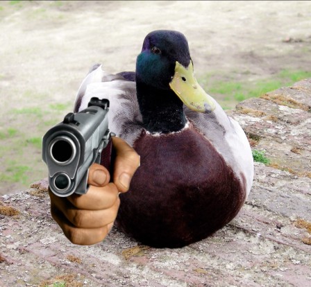 canard méchant arme.jpg