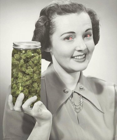cannabis mère.jpg