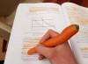 carotte prof vegan.jpg, sept. 2019