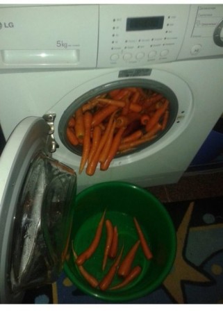 carottes en machine robot ménager.jpg